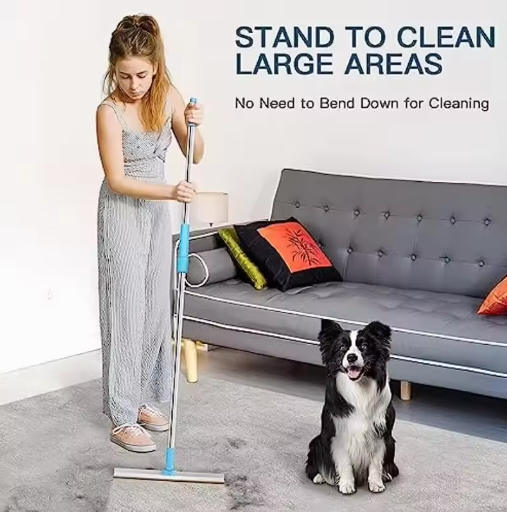 Pet Hair Remover for Floors